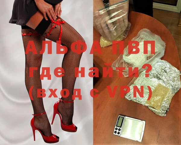 стаф Алексин