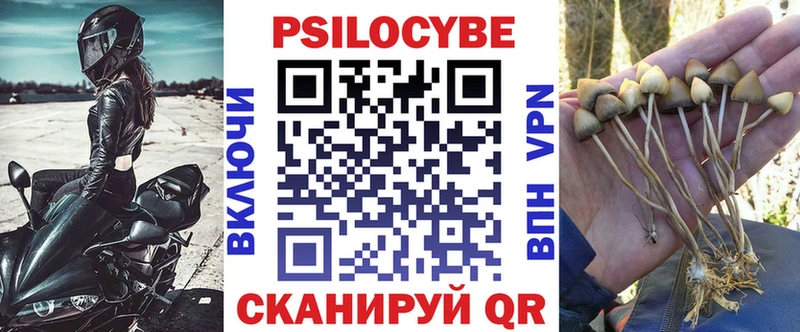 Псилоцибиновые грибы MAGIC MUSHROOMS  MEGA ТОР  Курганинск 